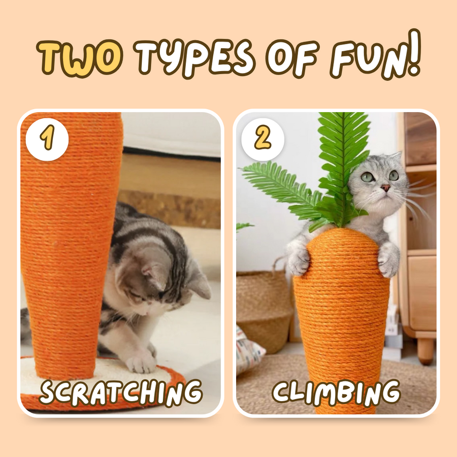 Cute Cat carrot Scratching Post