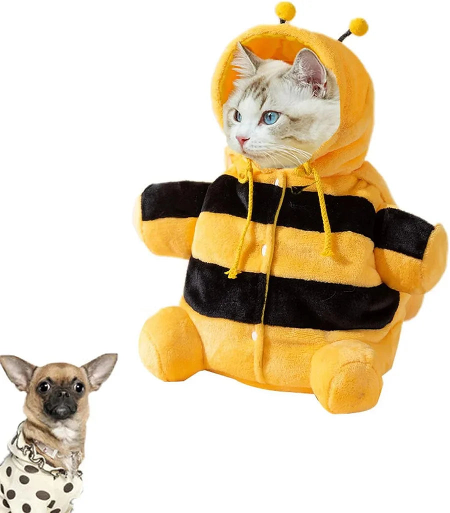 Cat Carrier bag Cute bee Pet Travel Bag🐝