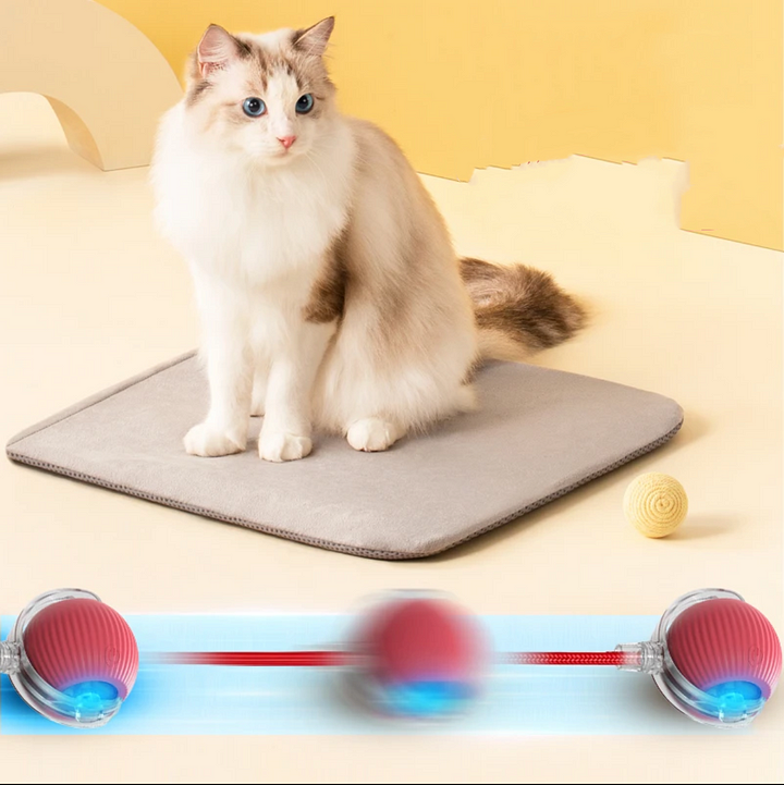 Smart Cat Interactive Ball Chug Ball Self rolling Cat tut-tut Ball