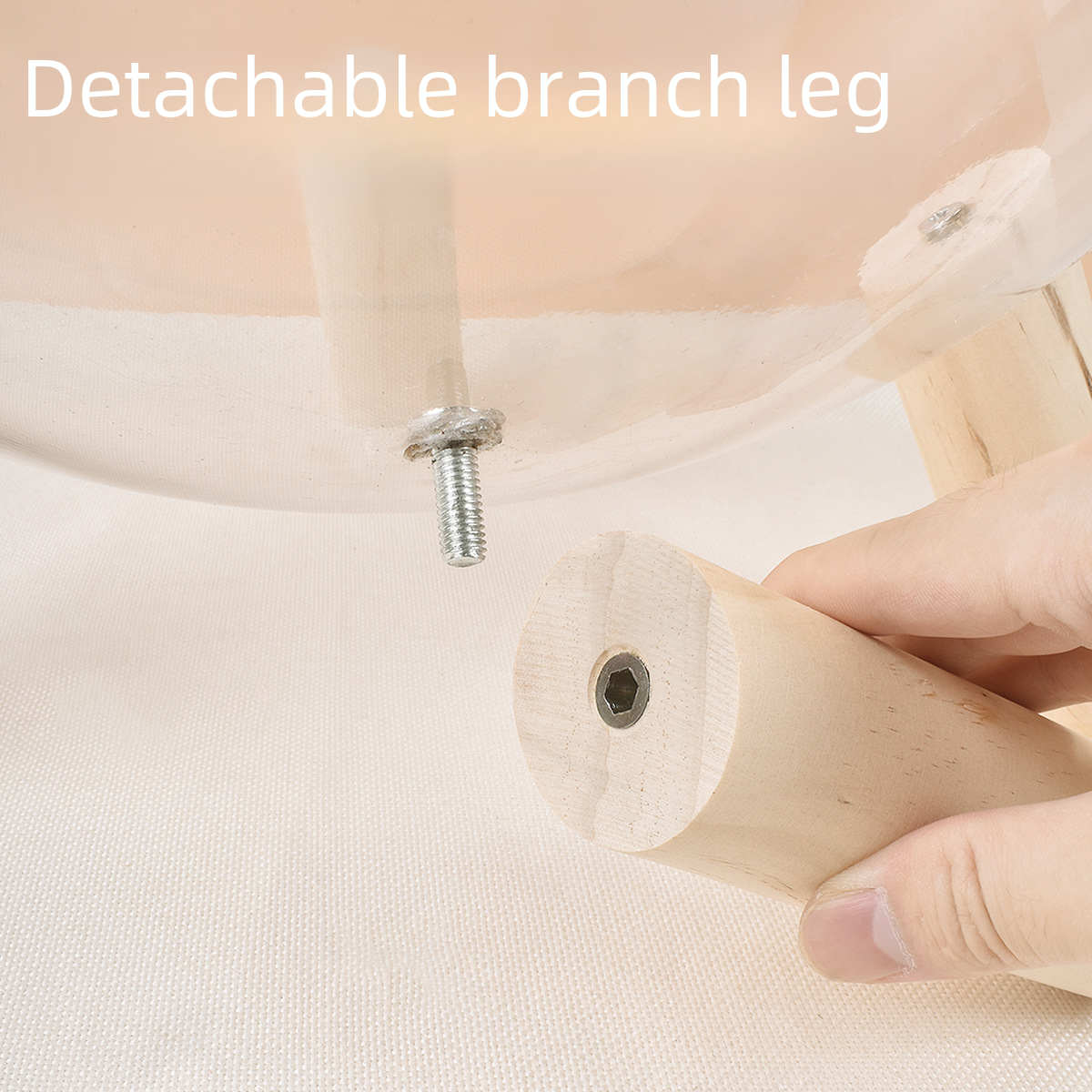 Cat Transparent Space Capsule