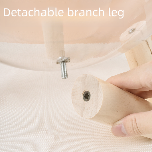 Cat Transparent Space Capsule