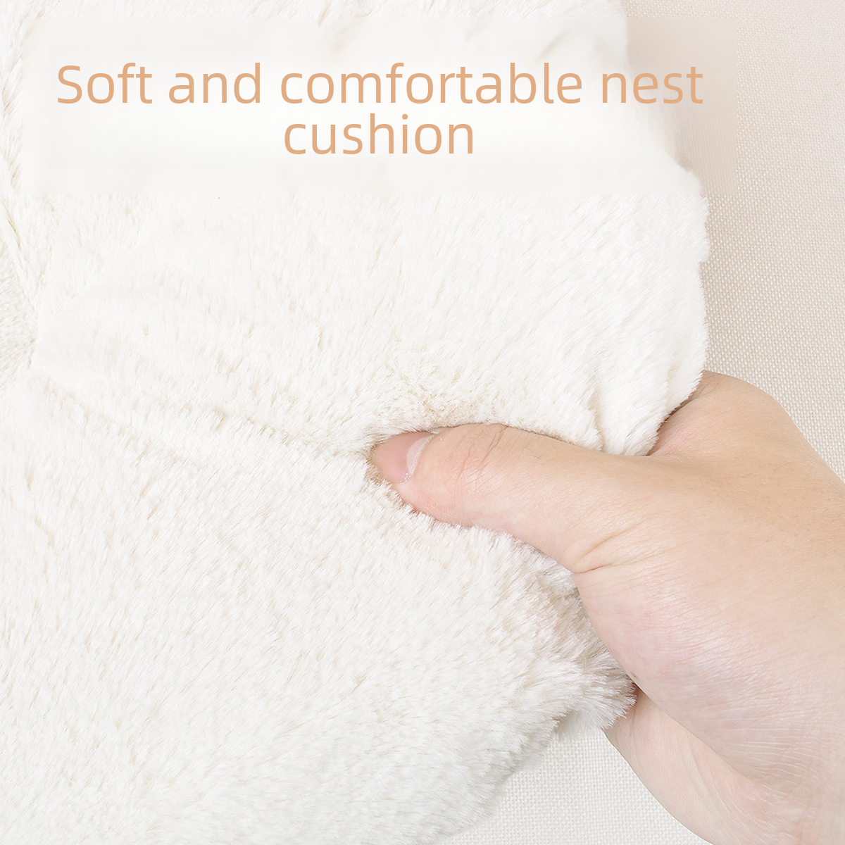 Cat Transparent Space Capsule