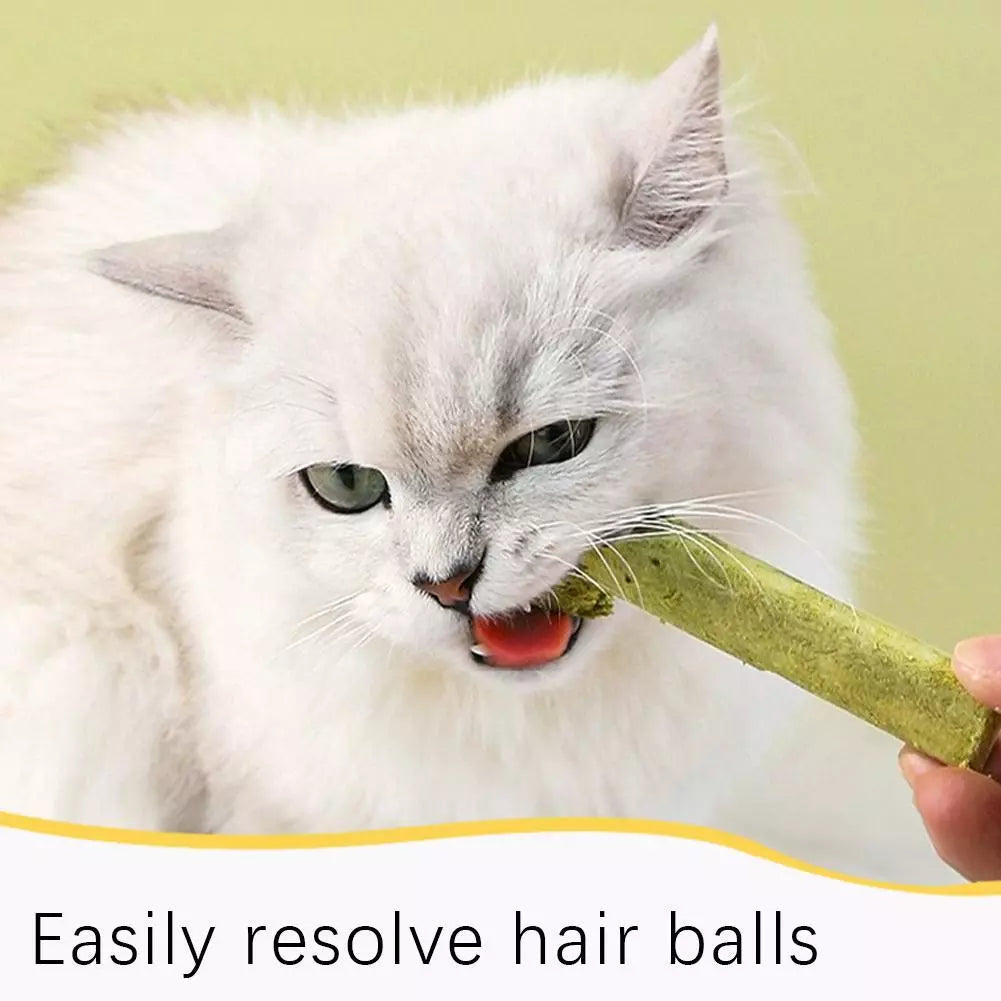 Drying Cat Grass sticks