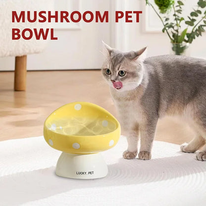 Cat Bowls Raised Cat Food Bowls