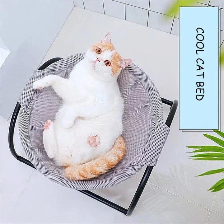 Floor Cat Hammock-With Stand