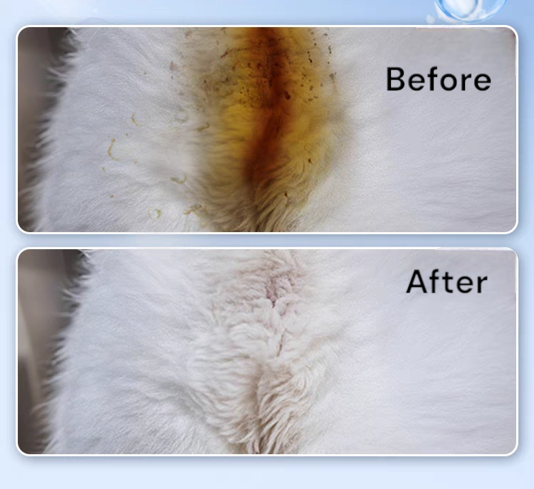 Pet Disposable Foam –  Booty Cleaning Scrub & Dry Bath Gel 🐾✨