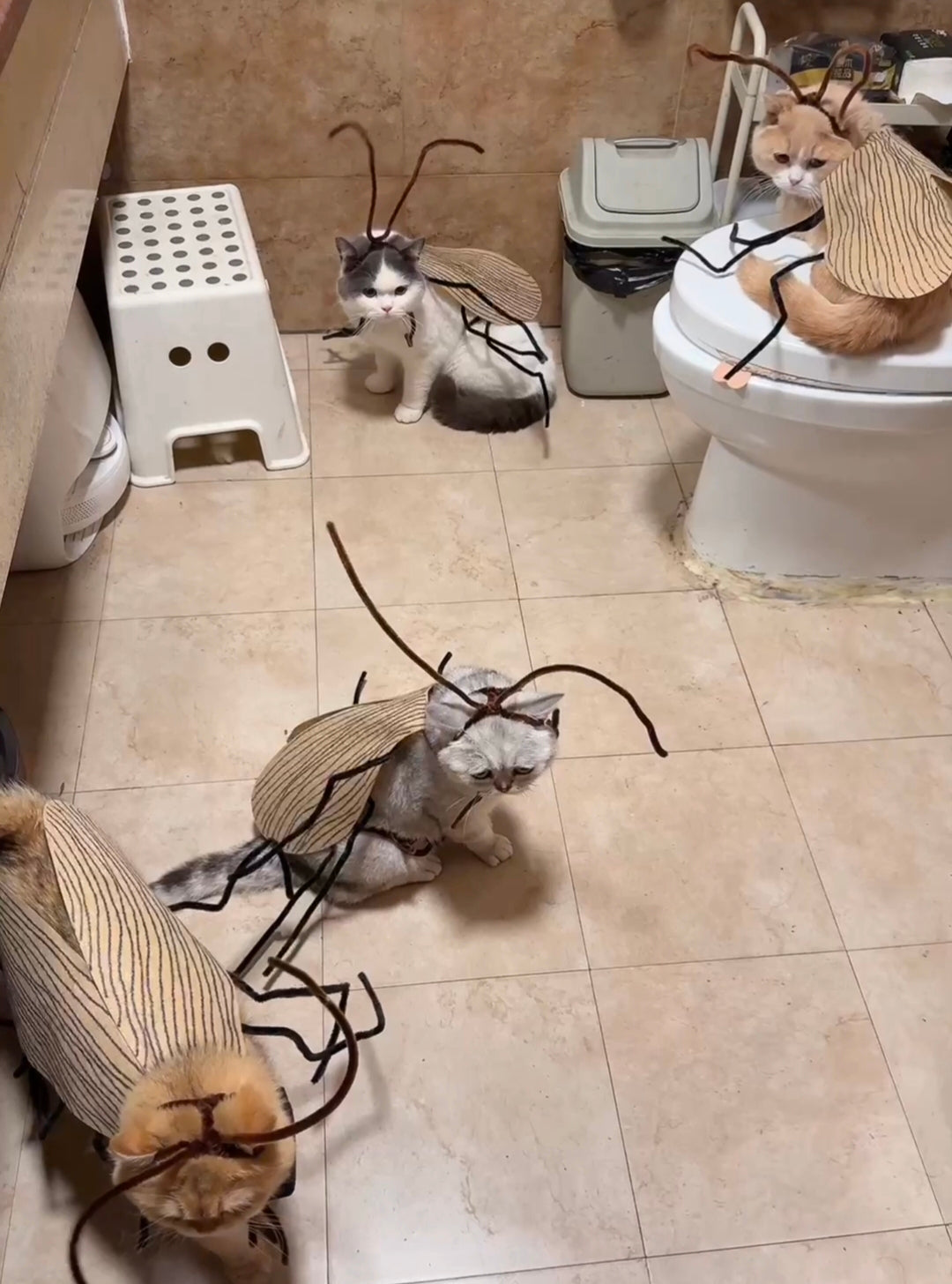 Funny Pet Catroach Costume Outfit