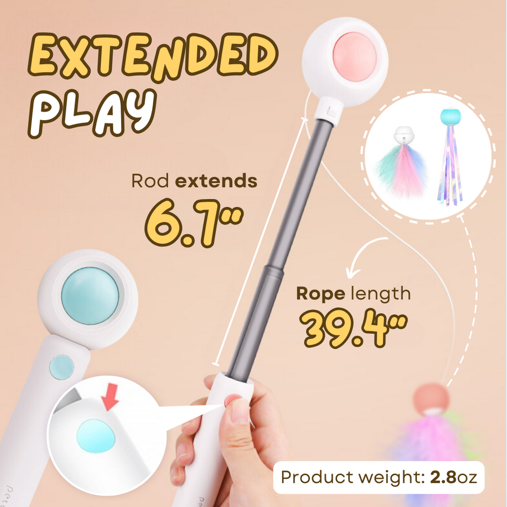 Multifunctional Cat laser Feather Stick Toy (2 in 1)