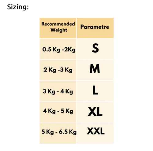 backpack for cat and dog