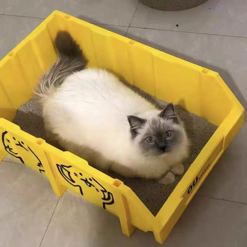 Cat Litter Box