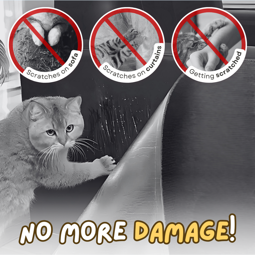 Cat Scratcher Sheet Couch sofa Protector