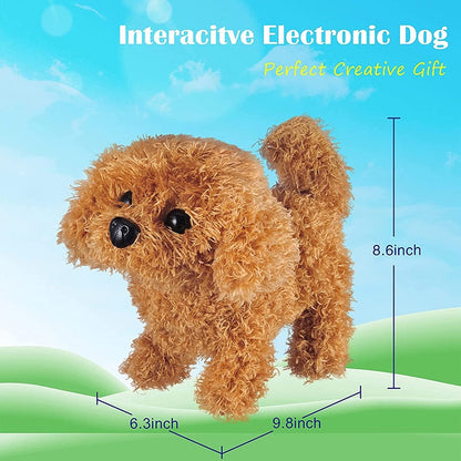 Dog Toy