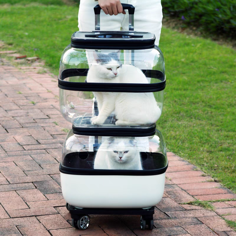 Pet Trolley transparent Suitcase