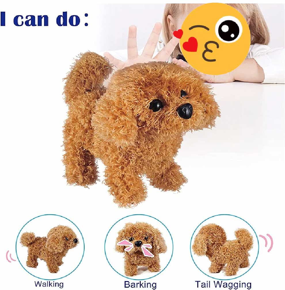 Dog Toy