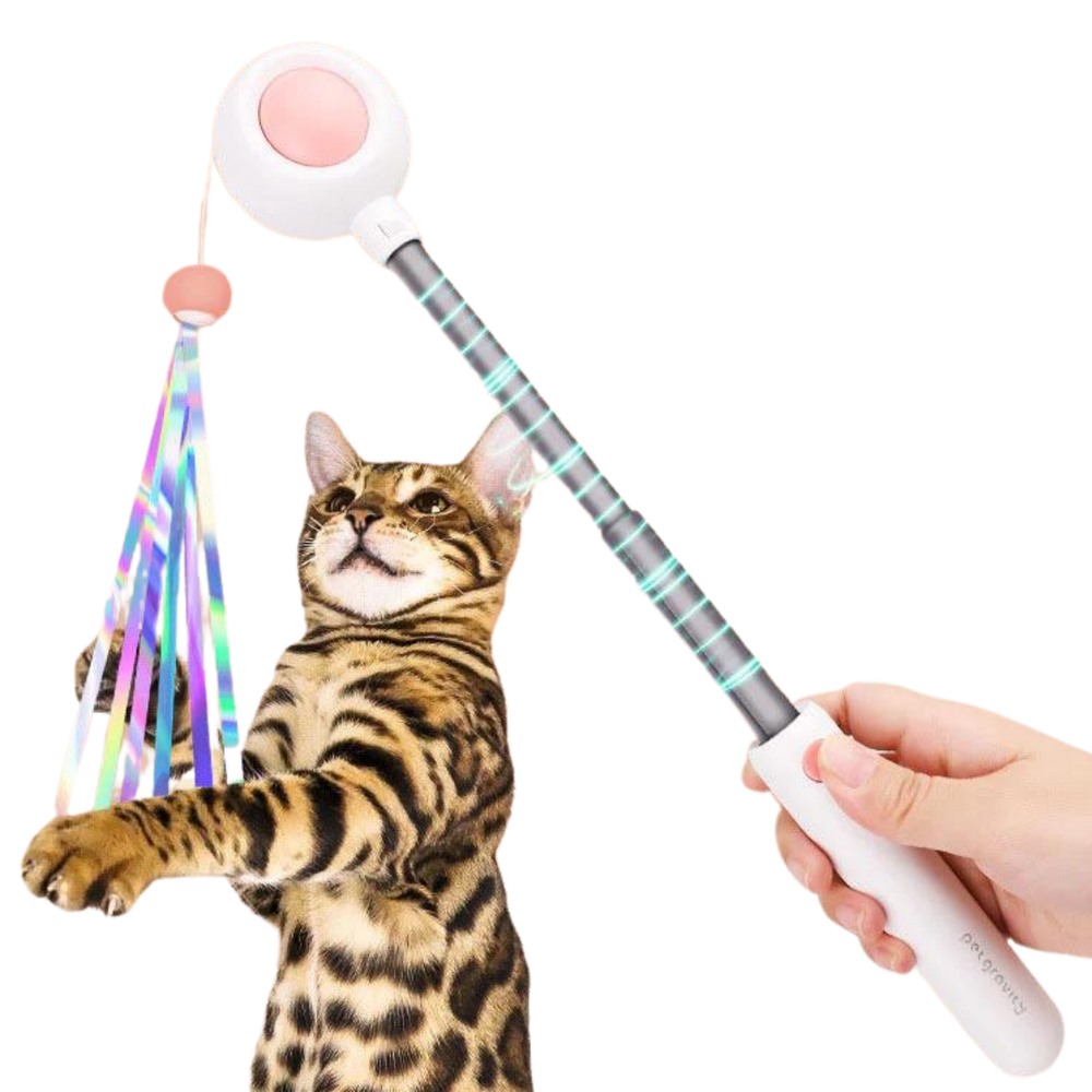 Multifunctional Cat laser Feather Stick Toy (2 in 1)