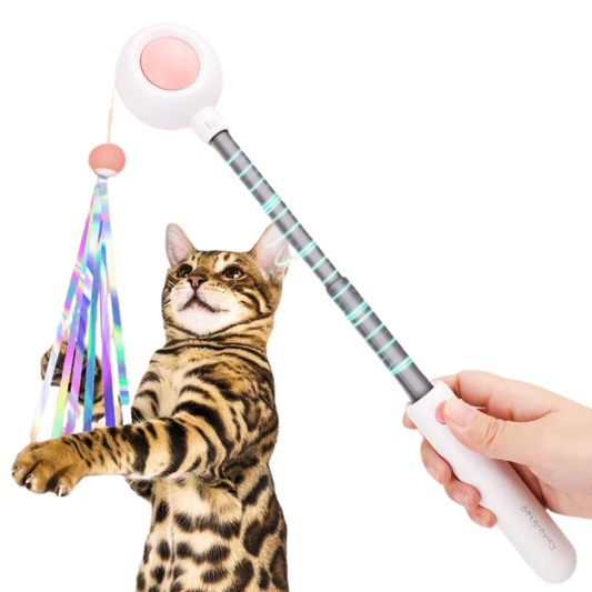 Multifunctional Cat laser Feather Stick Toy (2 in 1)