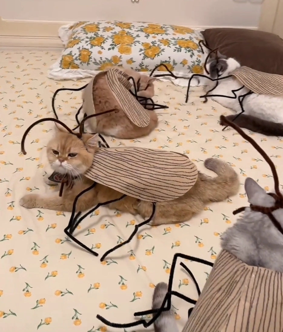 Funny Cockroach Cat Costume