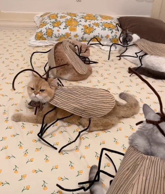 Funny Cockroach Cat Costume