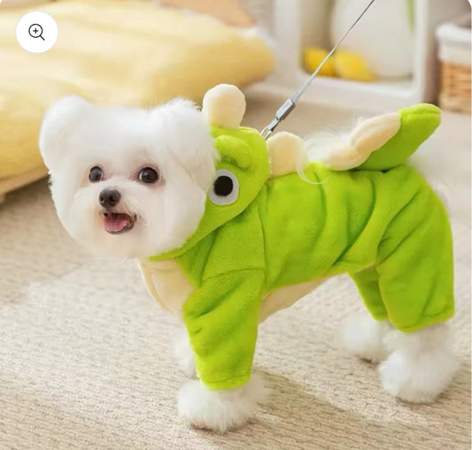 Cute green outfit dress