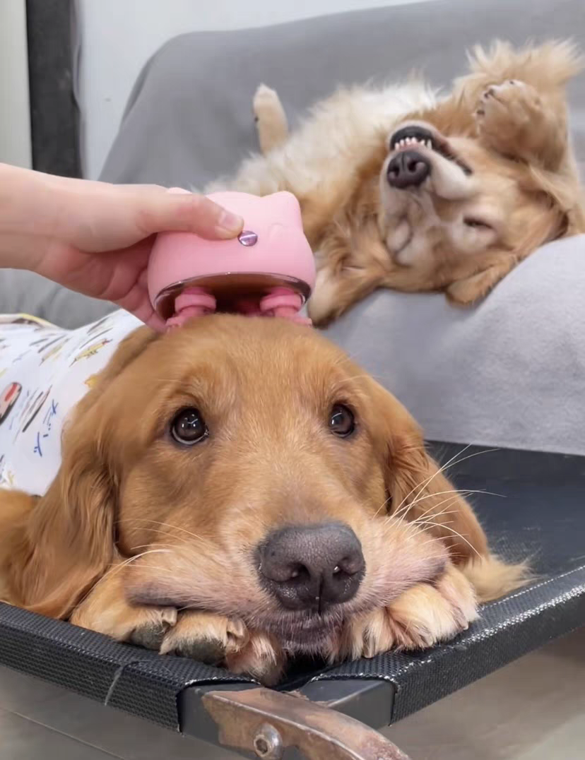 Pet head massager