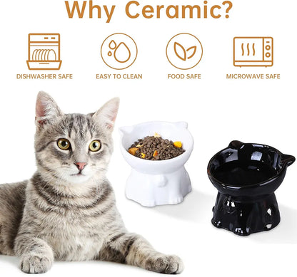 2pcs Ceramic Elevated Cat Bowls for Indoor Cats