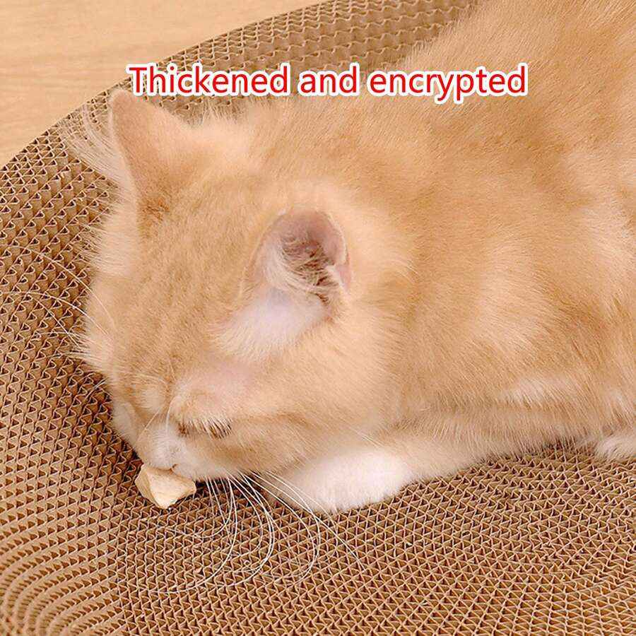 Cat scratching and sleeping bed