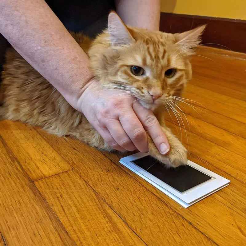 Lovelypetstory® Paw Print Stamp Pad