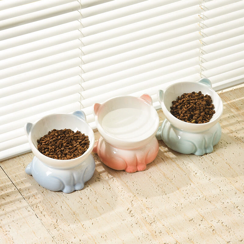 Cat Food Bowl