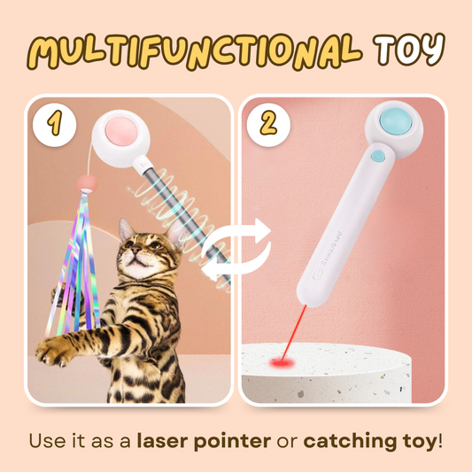 Multifunctional Cat laser Feather Stick Toy (2 in 1)