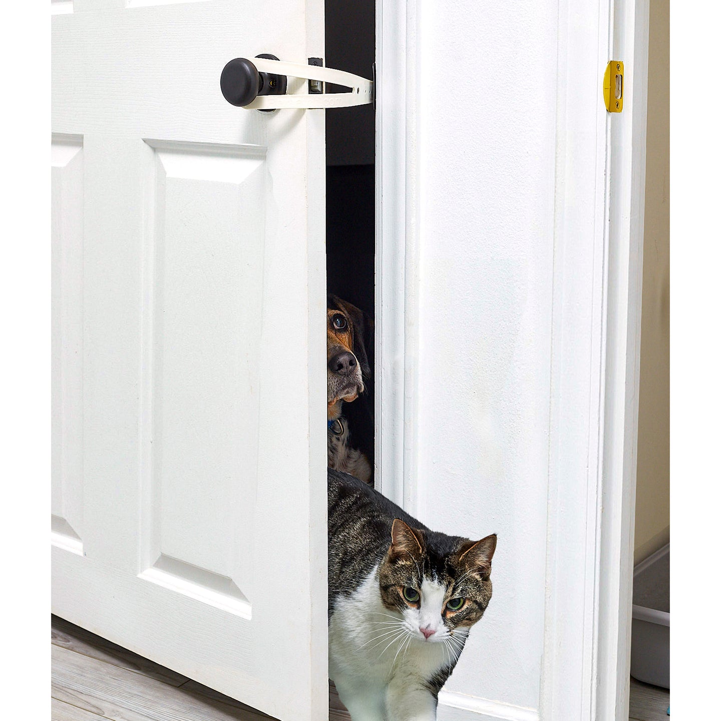 Cat Door Holder Opener