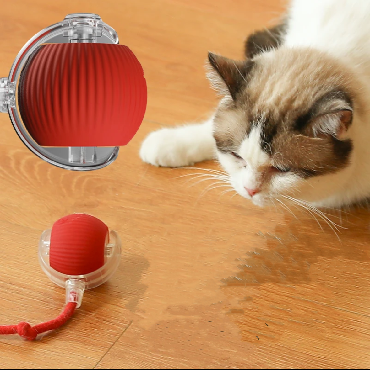 Rotating Smart Ball Cat Toy