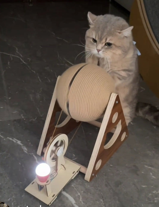 Cat-Powered Renewable Energy Toy – Scratch & Spin Generator