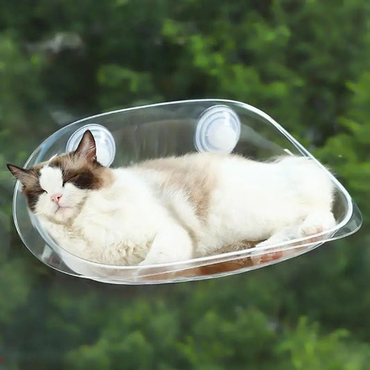 CutierStore® Cat window car Hammock