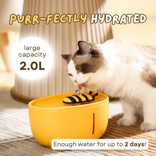 Pet Water bee fountain (4 filters free)