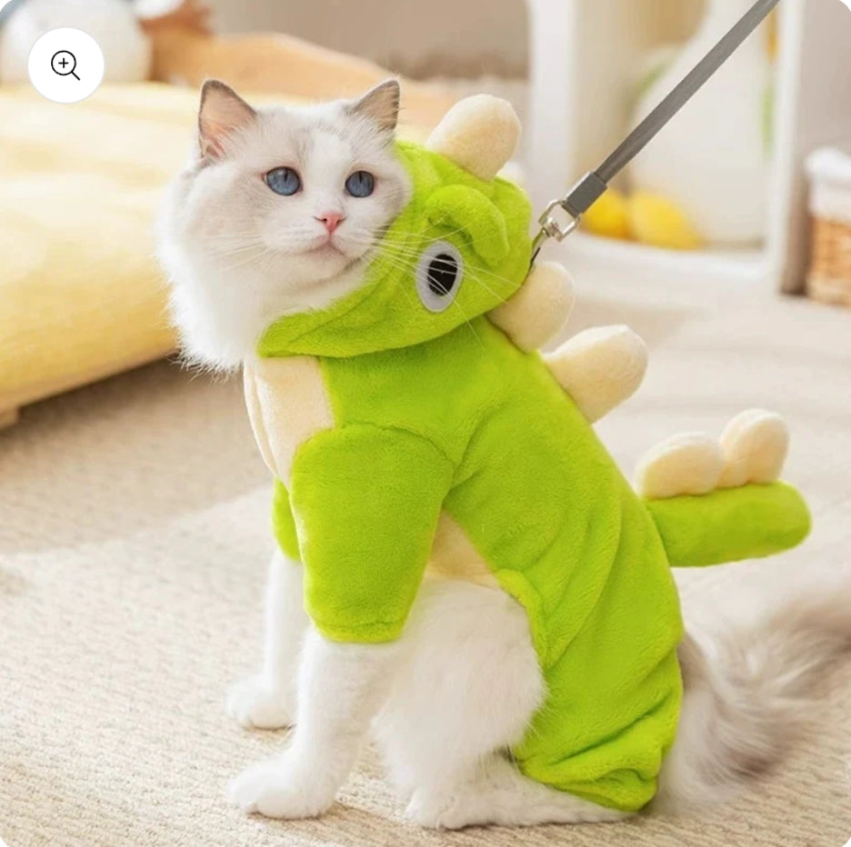 Cute green outfit dress