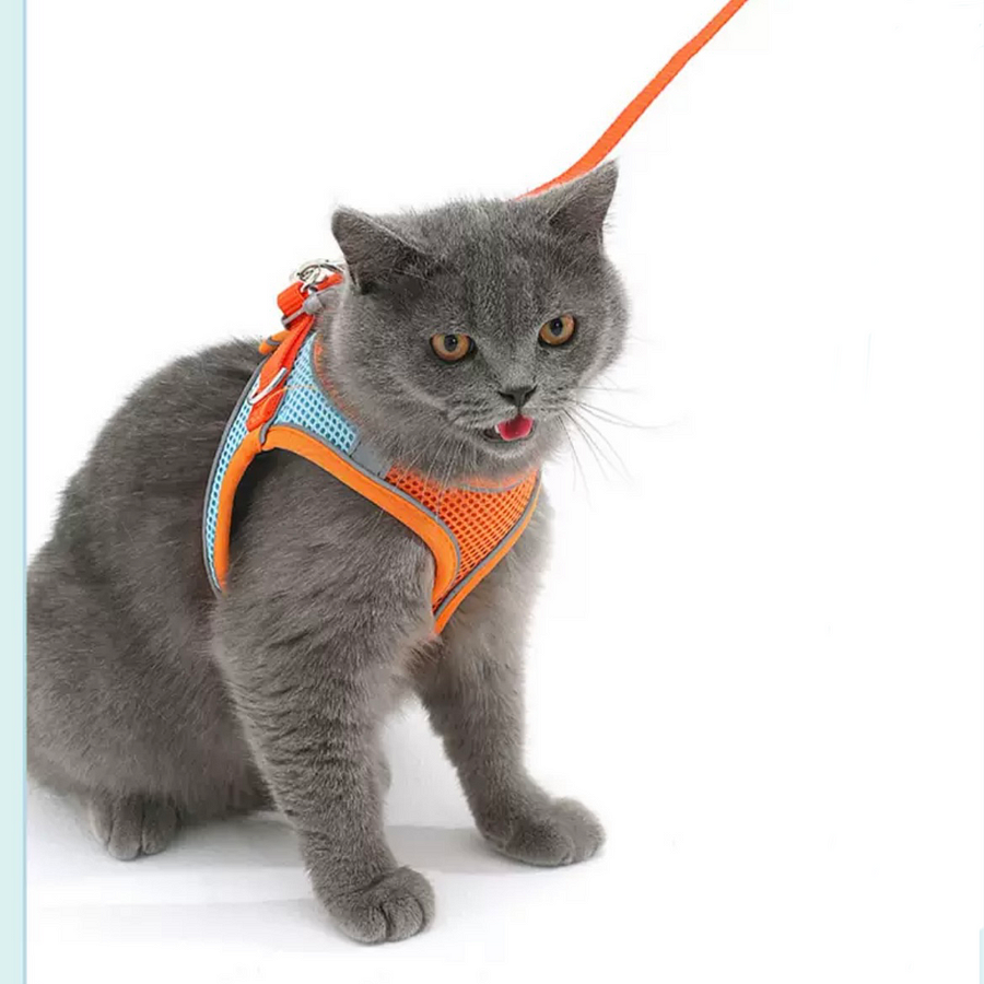 Cute Cat Harness