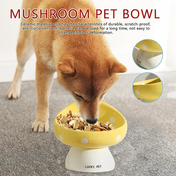 Cat Bowls Raised Cat Food Bowls