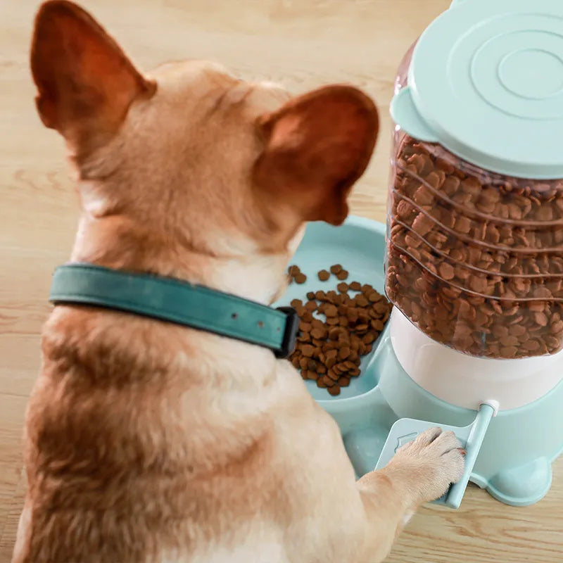 Pet Auto Feeder