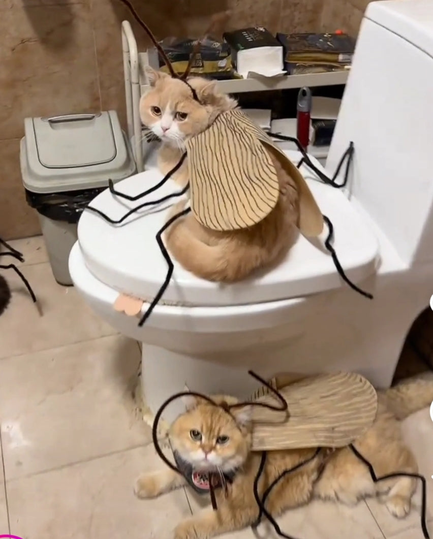 Funny Cockroach Cat Costume