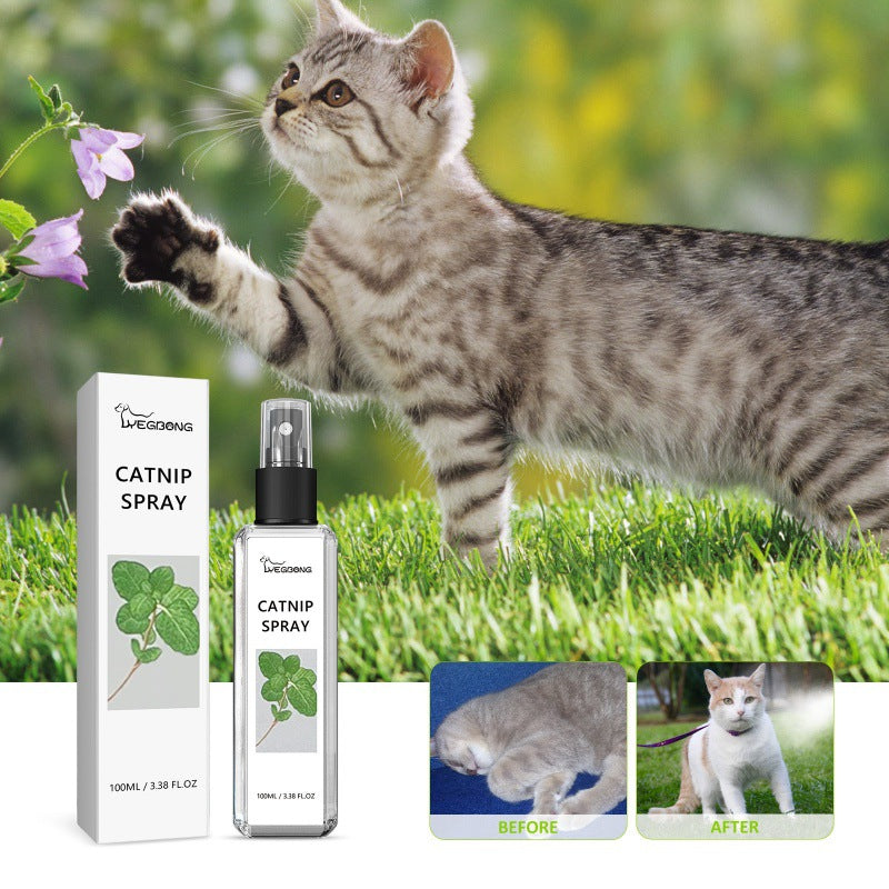 Catnip happy joycat Spray for pet bedding, scratching etc