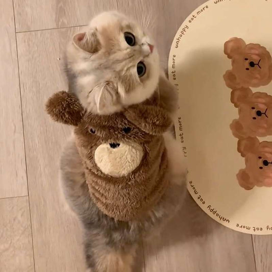 Fluffy Bear Cat Vest