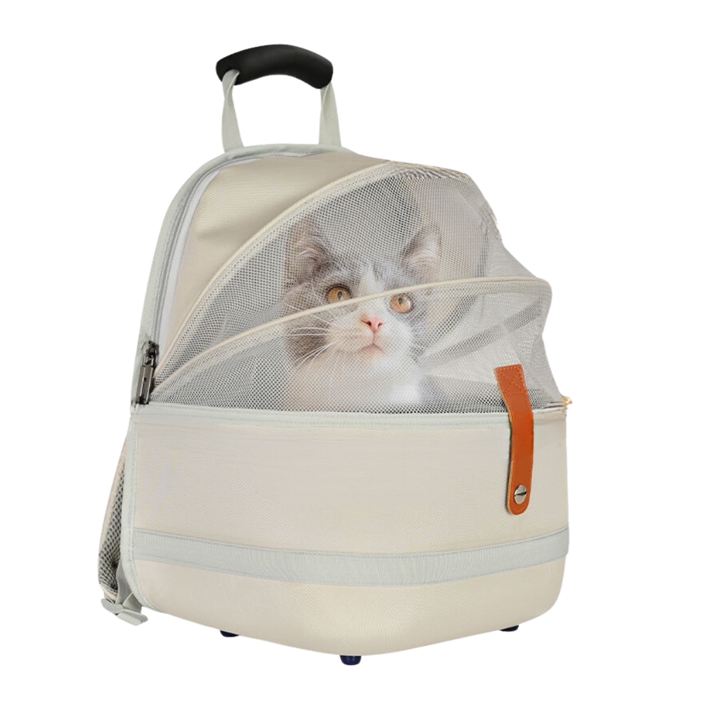 Cat & dog travel backpack