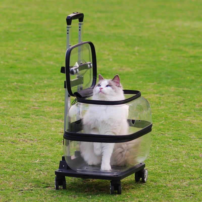 Pet Trolley transparent Suitcase