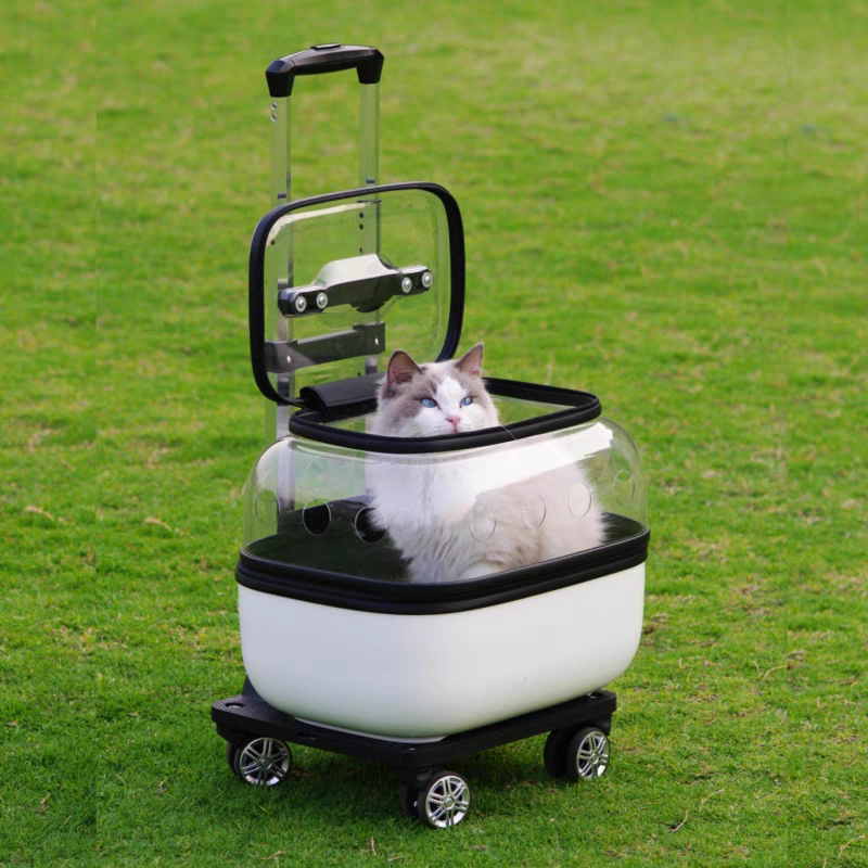Pet Trolley transparent Suitcase
