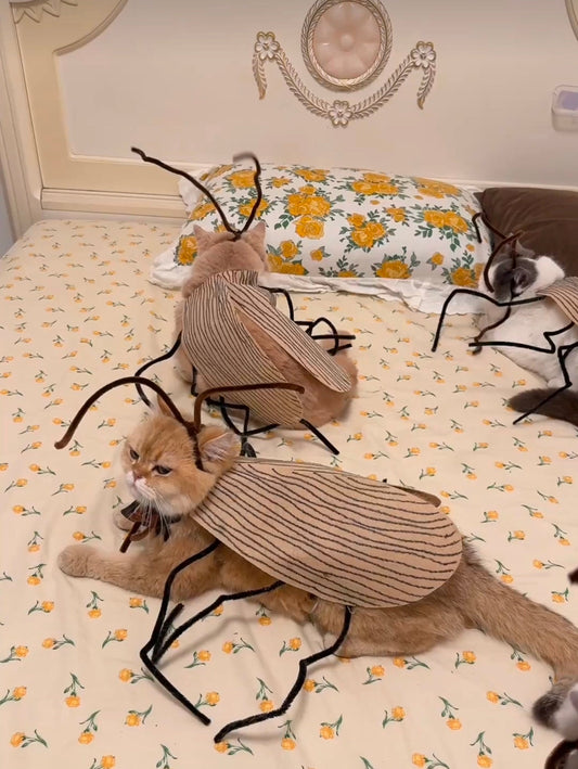 Funny Pet Catroach Costume Outfit