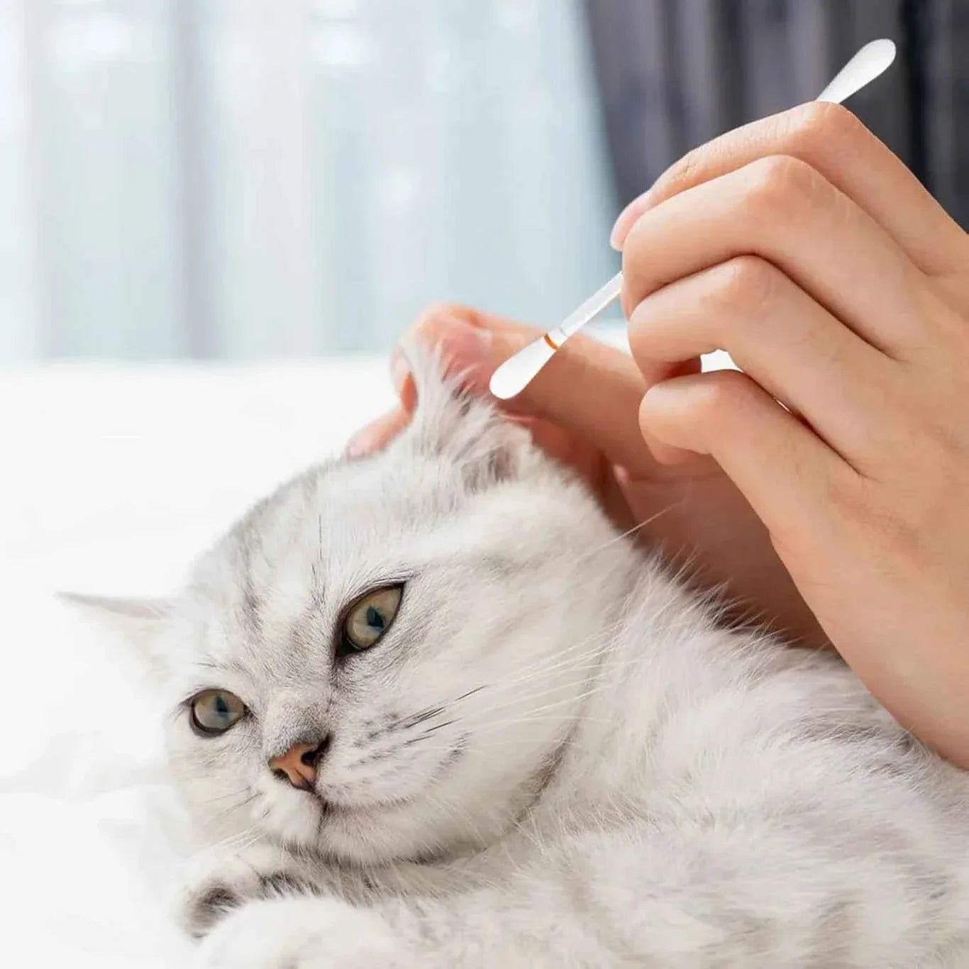 Multipurpose Ear Cleaning Cotton Swabs For cats  - 50PCS