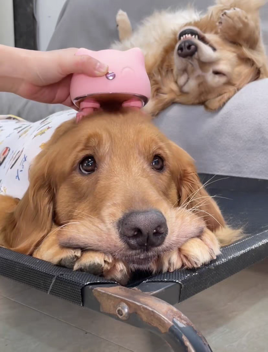 Pet head massager