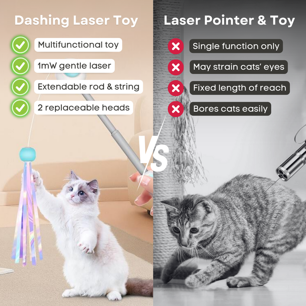 Multifunctional Cat laser Feather Stick Toy (2 in 1)