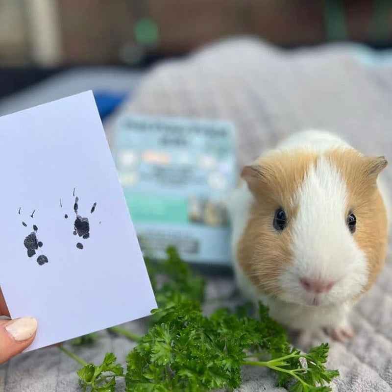 Lovelypetstory® Paw Print Stamp Pad