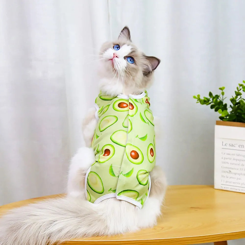 Cat Recovery Suit for Abdominal Wounds or Skin Diseases, Wear After Surgery, Pyjama Suit, E-Collar Alternative for Cats and Small Dogs
